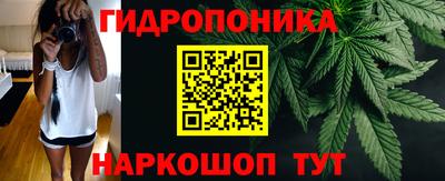 тгк Пугачёв