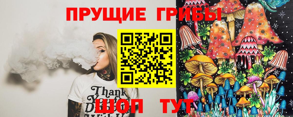 Северск  Псилоцибиновые грибы прущие грибы  Вход с VPN  купить наркотики сайты  Псилоцибиновые грибы Psilocybine cubensis 