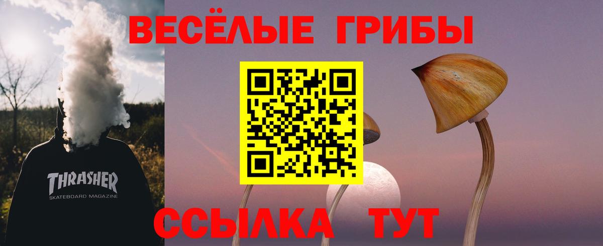 Галлюциногенные грибы Psilocybine cubensis Северск